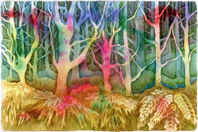 Hidden Forest