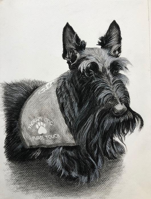 Therapy Dog