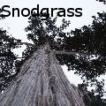 Amanda Snodgrass -  - Photography