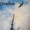 Anastasia Overton - The Second Tear - Water Color