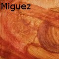 Carla Alexandra Miguez -  - Paintings