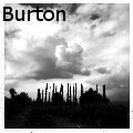 Cindy Pitou Burton - Cypress Dream - Photography