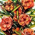 Gilbert Goss Sawtelle - Galveston - Peach Blossom Oleander - Oil Painting