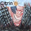 Ione Citrin -  - Acrylics