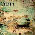 Ione Citrin -  - Water Color