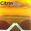 Ione Citrin -  - Acrylics