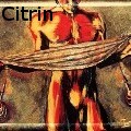 Ione Citrin -  - Acrylics