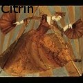 Ione Citrin -  - Oil Painting
