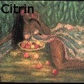 Ione Citrin -  - Drawings