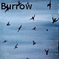 Jessica Nicole Burrow - Raven Storm - Acrylics