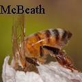 Kay McBeath - Let me in!   - None