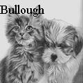 Nancy Tydings Bullough - Best Friends - Drawings