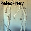 Ruth Peled-Ney - 2 White Figures - Sculpture