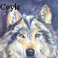 Sharon A. Coyle - Yellow Eyes - None