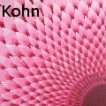 Steven Kohn - Mums No. 16 - Paintings