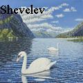 Vitaliy Shevelev - Two swans on lake Como - Oil Painting