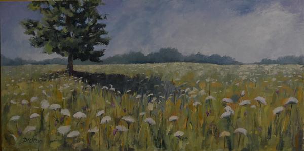 Queen Anne's Lace