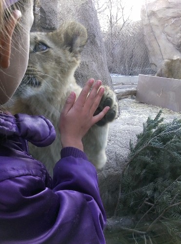 Curious kids